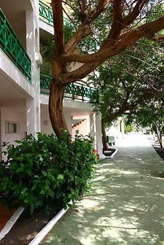 Apartamentos Ficus Costa Teguise Spanyolország